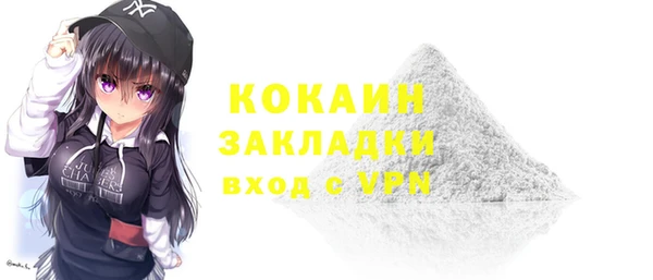 сатива Новокубанск