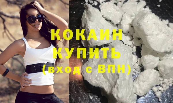 сатива Новокубанск