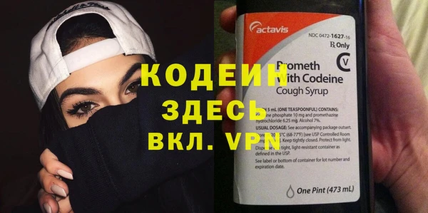 сатива Новодвинск